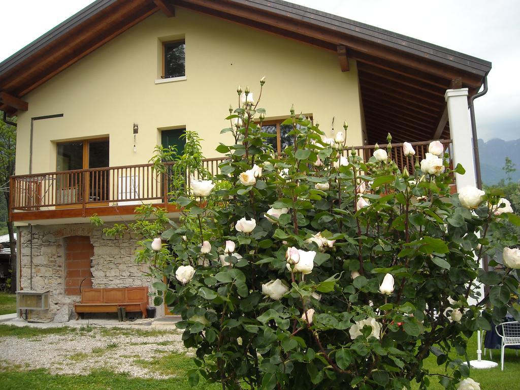 Agriturismo Il Girasole Feltre Eksteriør billede