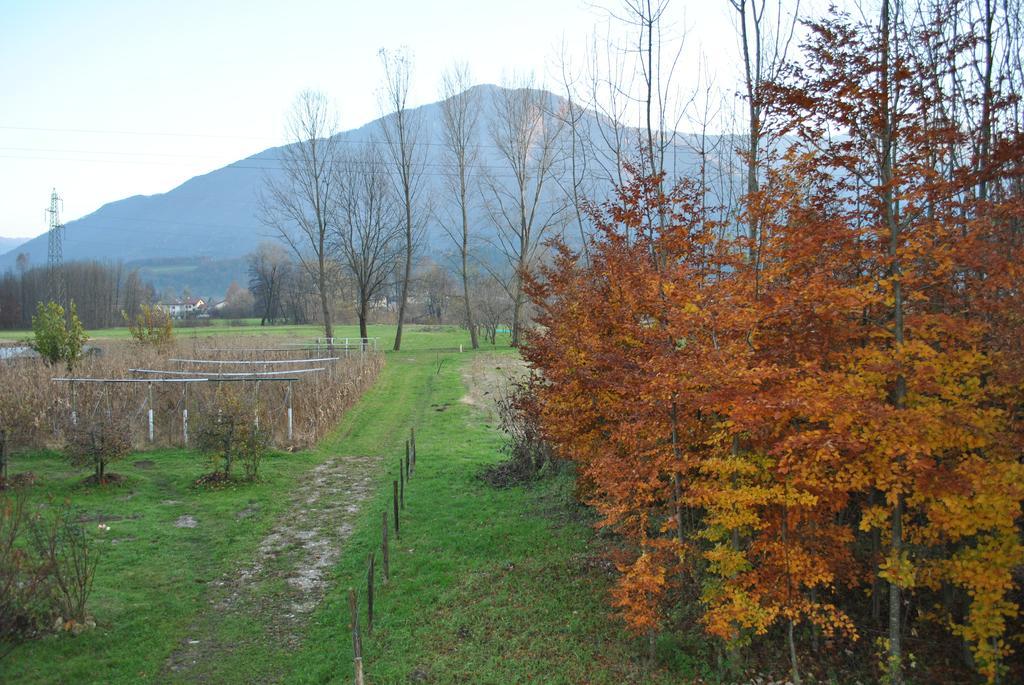 Agriturismo Il Girasole Feltre Eksteriør billede