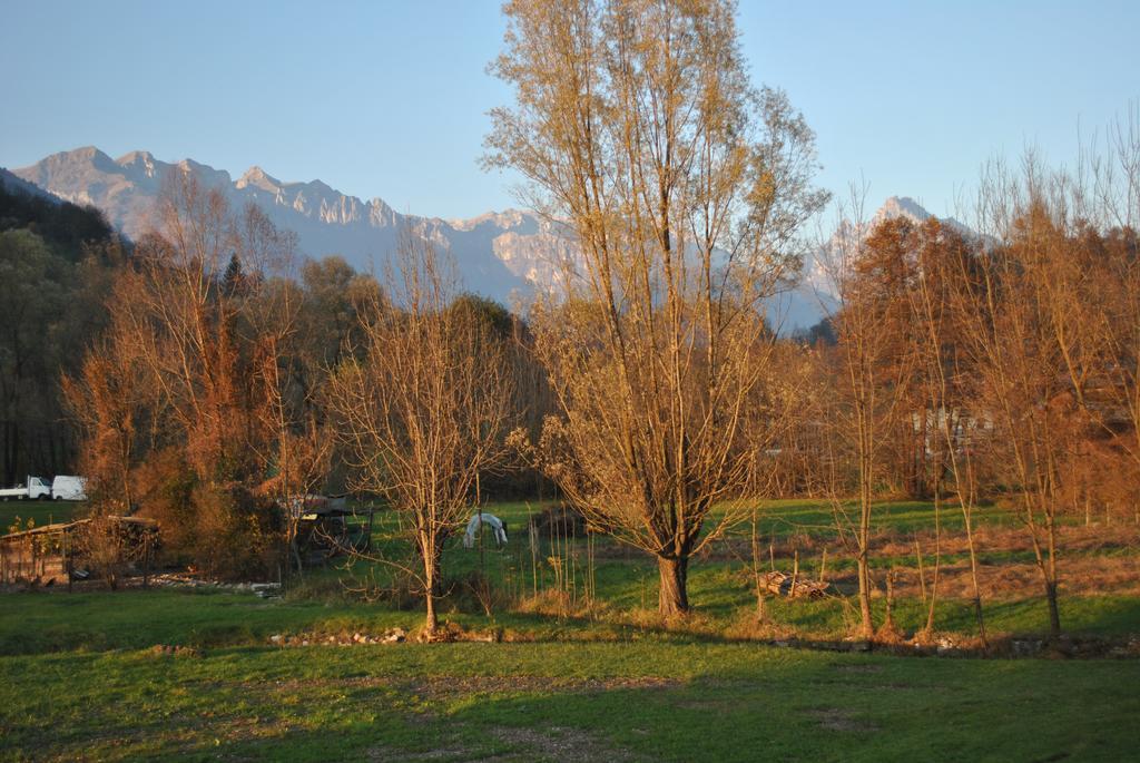 Agriturismo Il Girasole Feltre Eksteriør billede