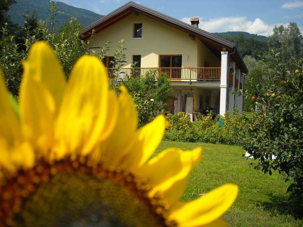 Agriturismo Il Girasole Feltre Eksteriør billede