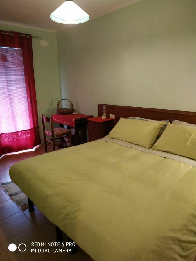 Agriturismo Il Girasole Feltre Eksteriør billede